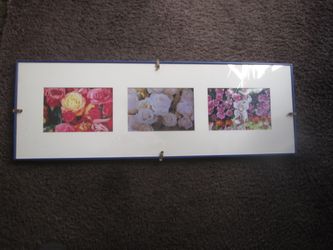 Framed Pics from Rose Parade