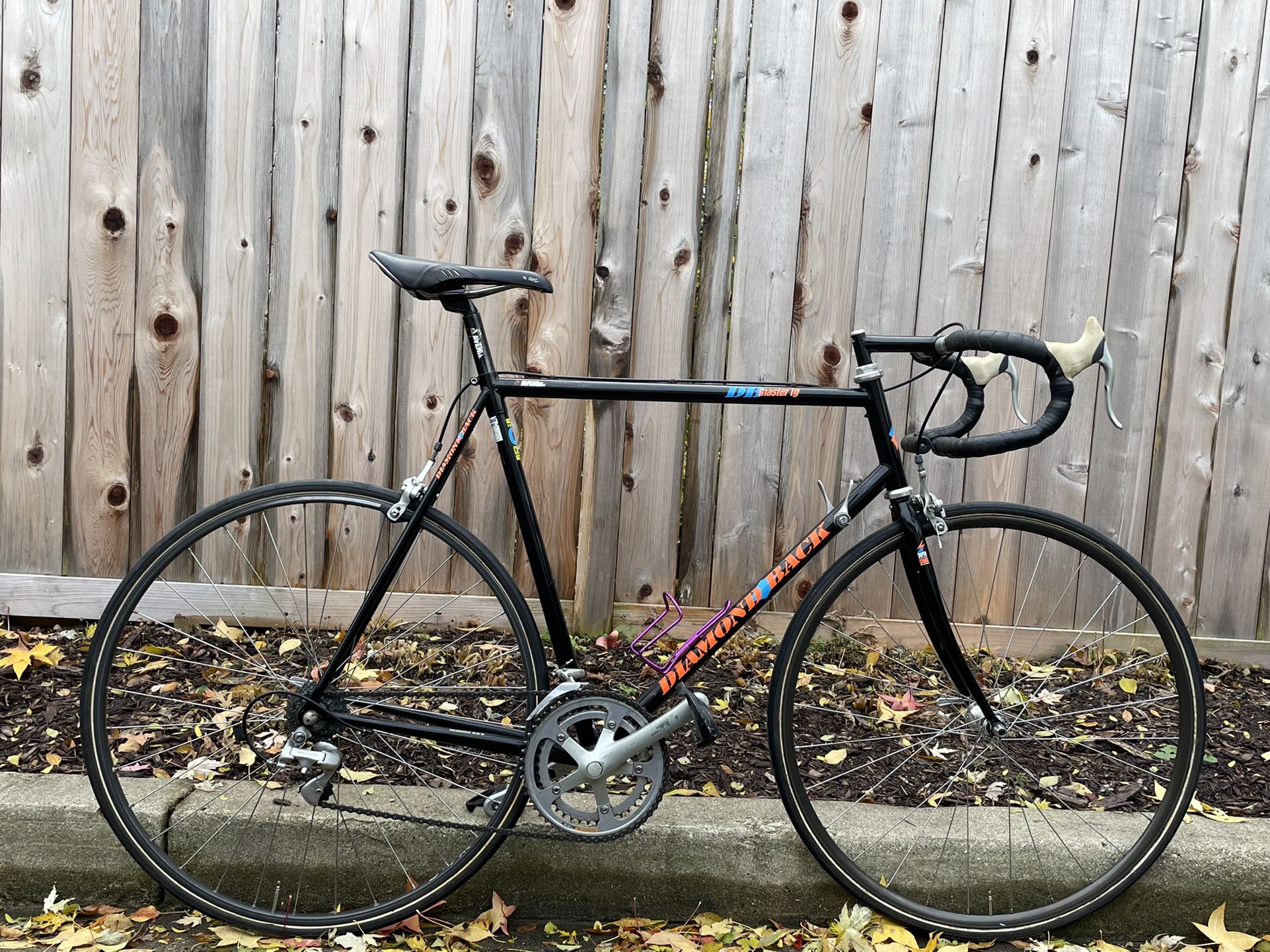 1991 Diamondback DB Master TG Steel is real