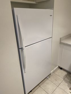 6 Months Old Fridge