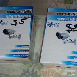 Dummy Security Cameras 