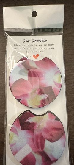 Pair of car coasters