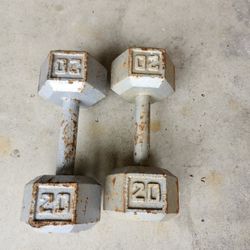 20 Lbs Dumbbells