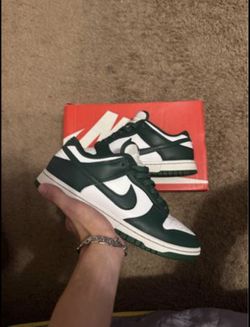 State Michigan Nike Dunks