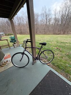Purple Adult Comfort Cruiser Bicycle