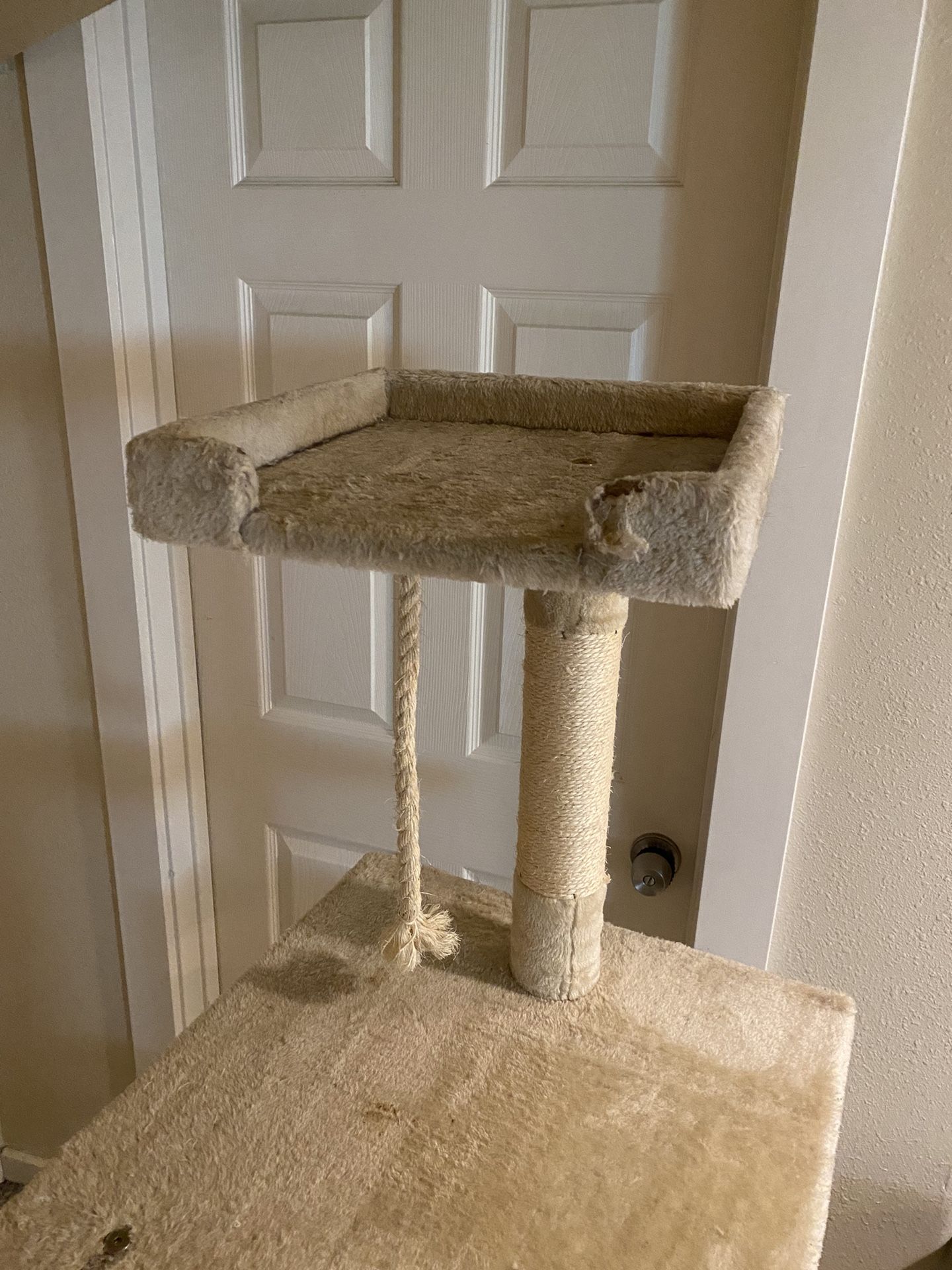 FREE Cat tree for Sale in WA OfferUp