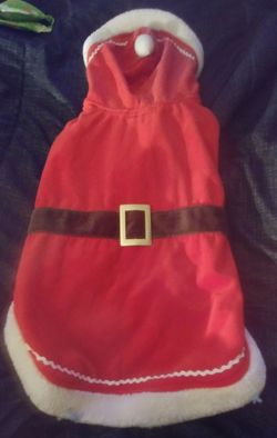 Doggie Santa Suit