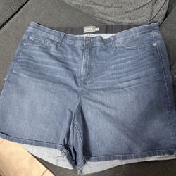Torrid Shorts (size 24) 