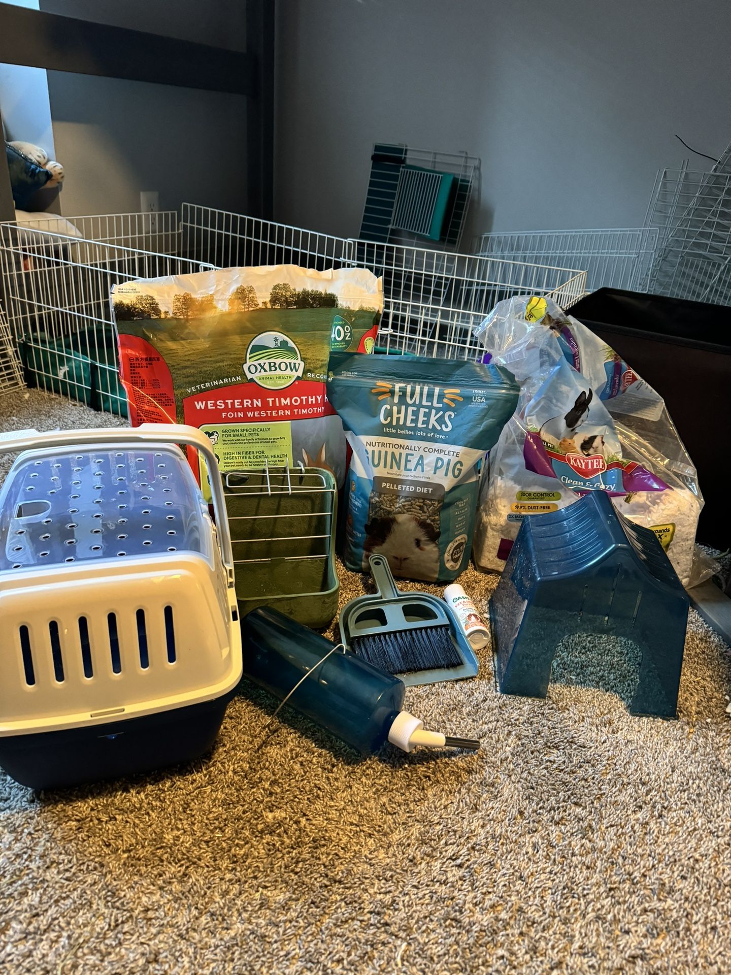 Guinea Pig Cage/Habitat And Supplies
