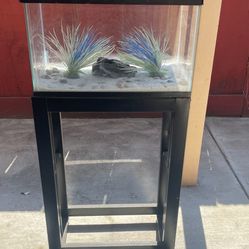 Fish Tank Or Reptile Tank  