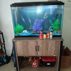 36 Gallon Fish tank&the Table