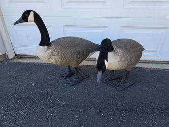 2 Goose Decoys
