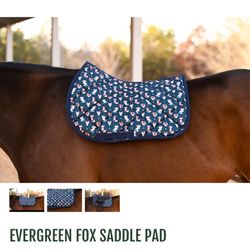 Dreamers & Schemers Saddle Paddle Pony 