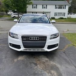 1 Owner 