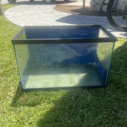20 Gallon Fish Tank