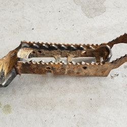 Cannondale Cannibal Speed Blaze Moto Right Foot Peg