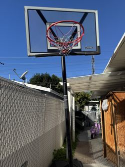 Free Basketball Court 