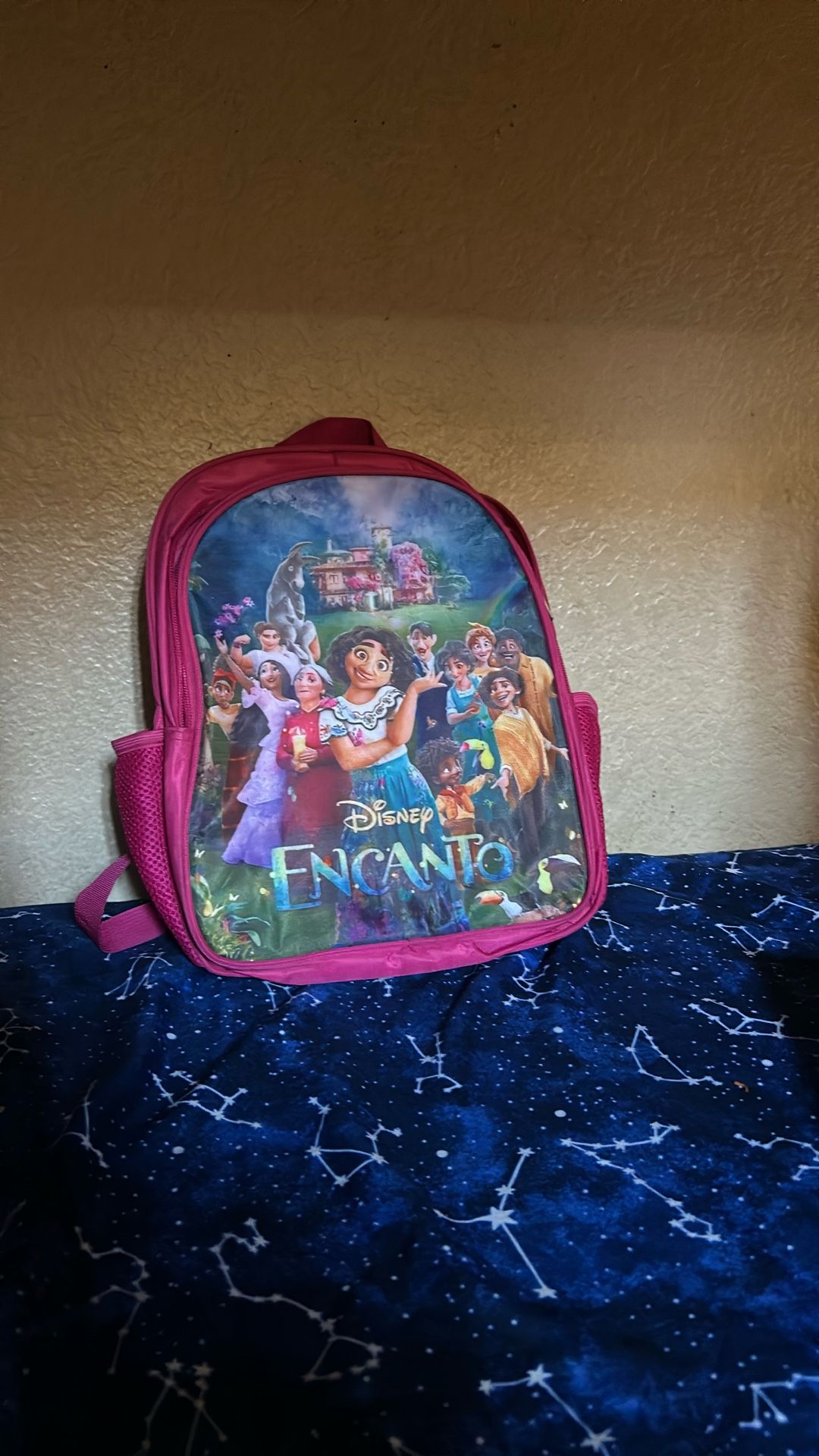 Encanto Back Pack 
