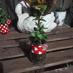 Small Glass With Plant  Mini Planter 