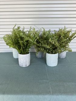Set Of 5 Artificial Plants - Model Home Decor 
