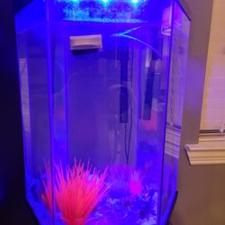  Hexagon LED Aquarium 20 Gallons

