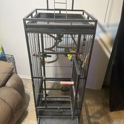 Bird Cage