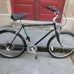 Schwinn Cruiser Bike