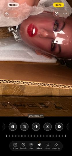 Tengo una muñeca nueva en caja de cuerpo completo