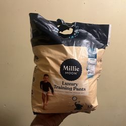 20 Pull Up Diapers  For 10$  Size 4 T/5t