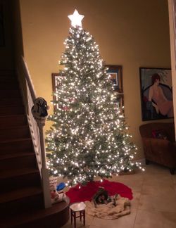 9 Ft Christmas Pre Lit Tree w/ storage bag