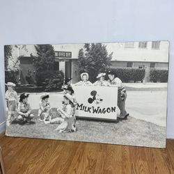 Vintage Disney Mouseketeer