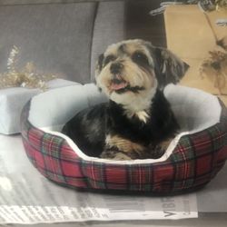 Dog Bed*Brand New!