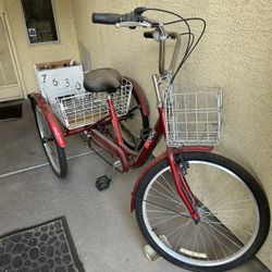 Adult tricycle