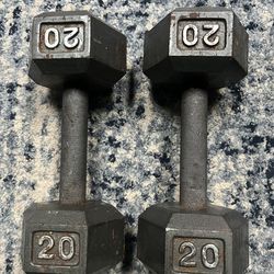 20 lb Dumbbell Weights - Pending