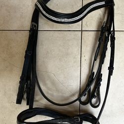 Bridle