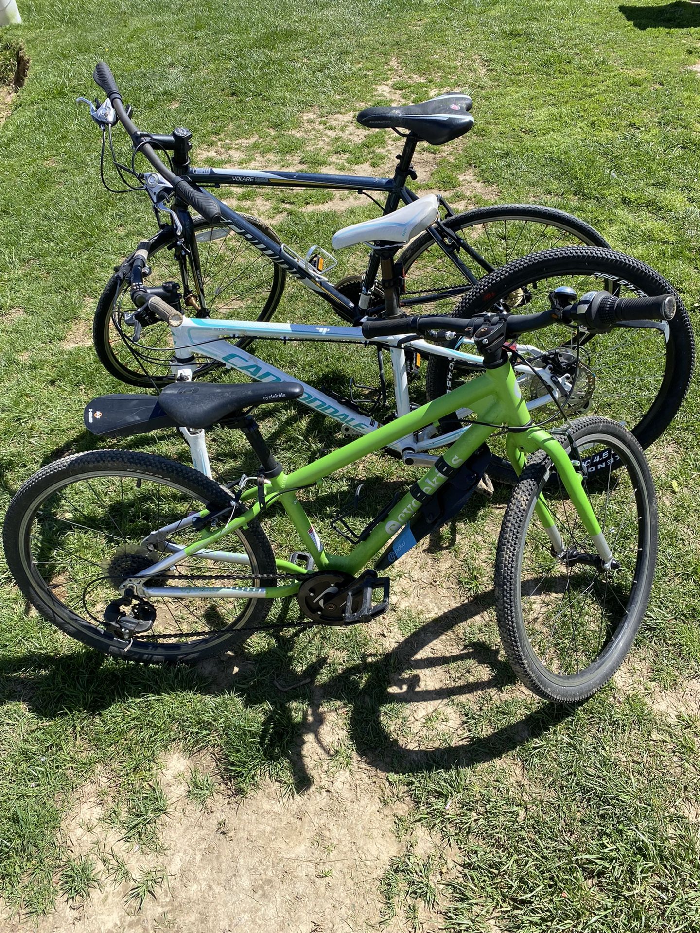 3 Bikes 