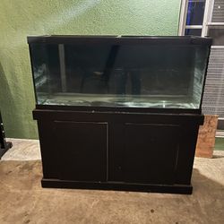 75 Gallon Fish Tank 