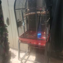Cage For Birds