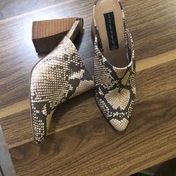 Steve Madden Booties 