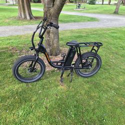 RadRunner Electric Cargo Utility Bike