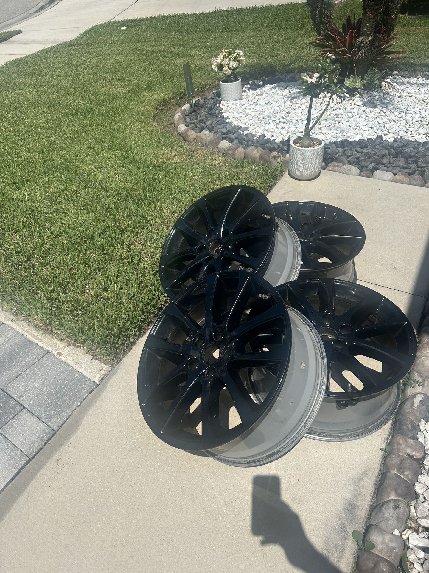 Toyota Avalon Rims