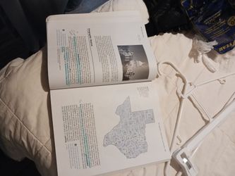 College level government book