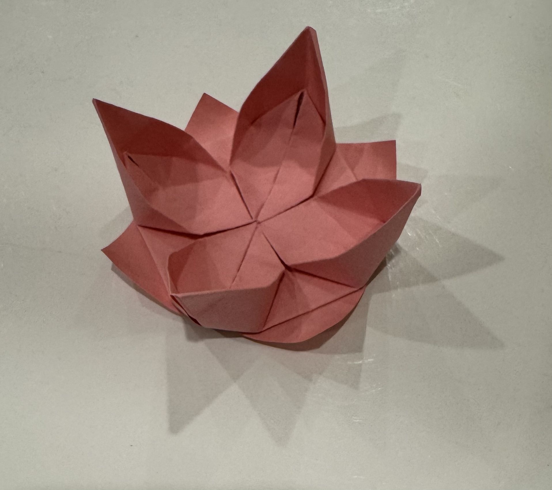 Origami Lotus