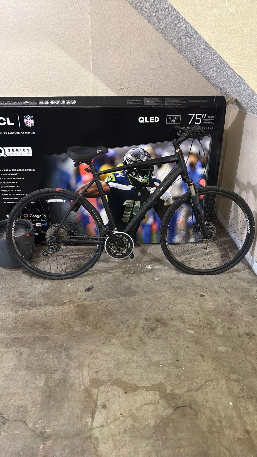 Giant Bike