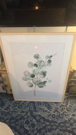 Target Amanti Art Tender Sprout II Wood Framed Wall Art Print Eva Watts 30x41