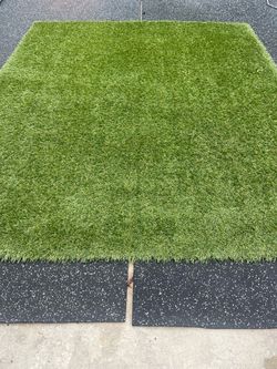Artificial grass piece(Traffic Master)
