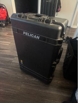 Pelican 1650 Case