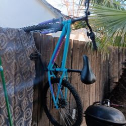 Nishiki Girls 24inch Bike From Dicks