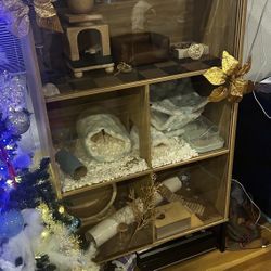 Hamster Cage / Multi Story Furniture 