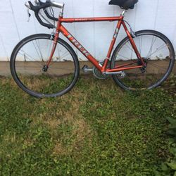 Trek 21 Speed Mountain Bike $225