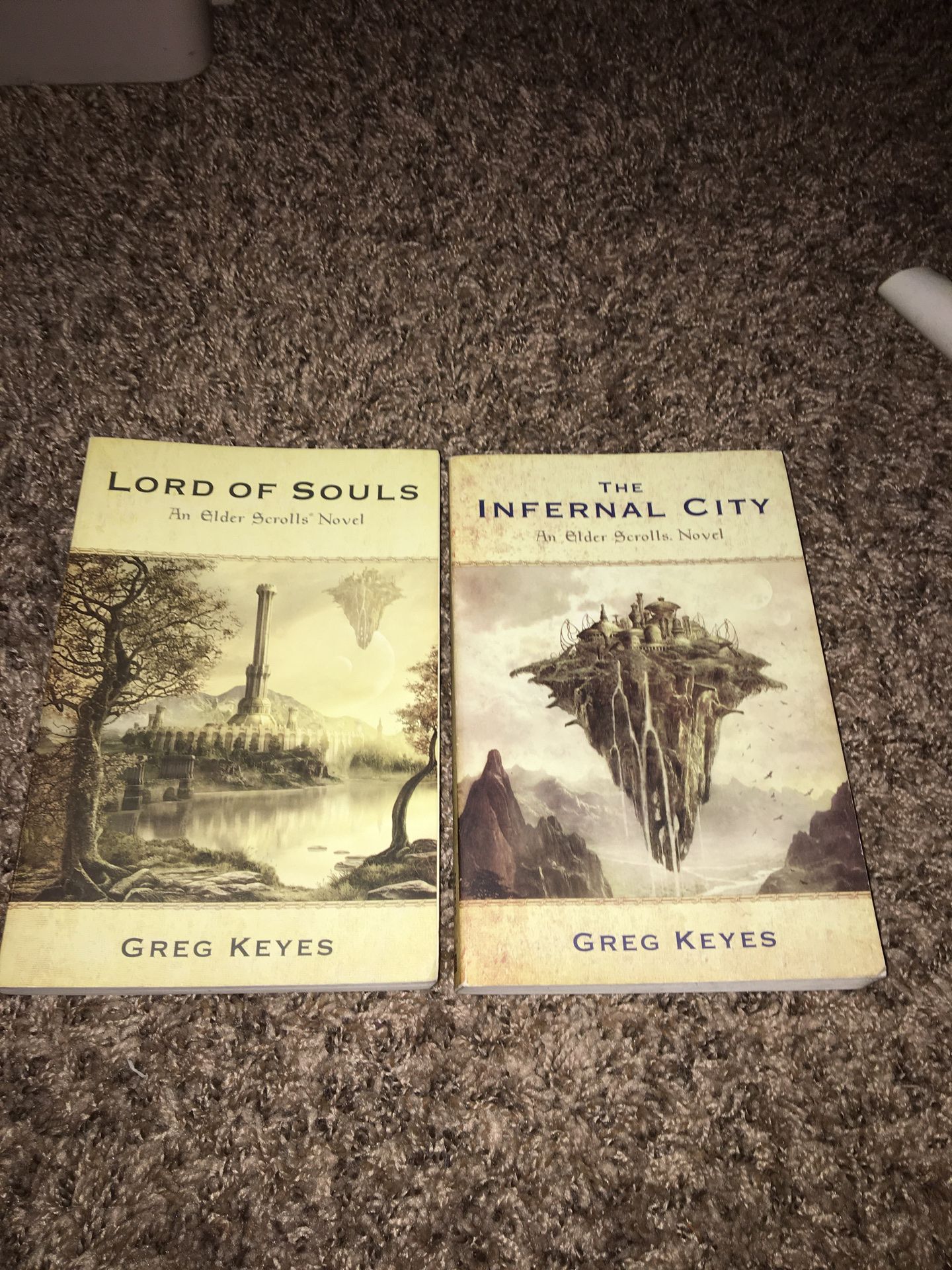 Elder Scrolls Books